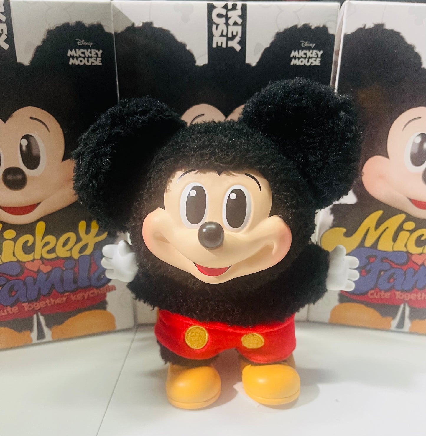 Mikey Family Together